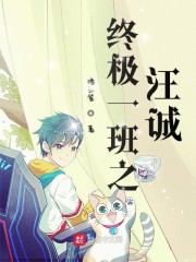 姑爷请留情