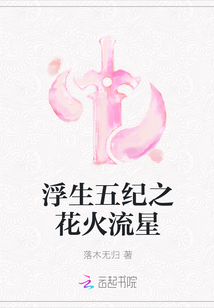 浮生五纪之花火流星